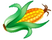 Corn-free Diet 